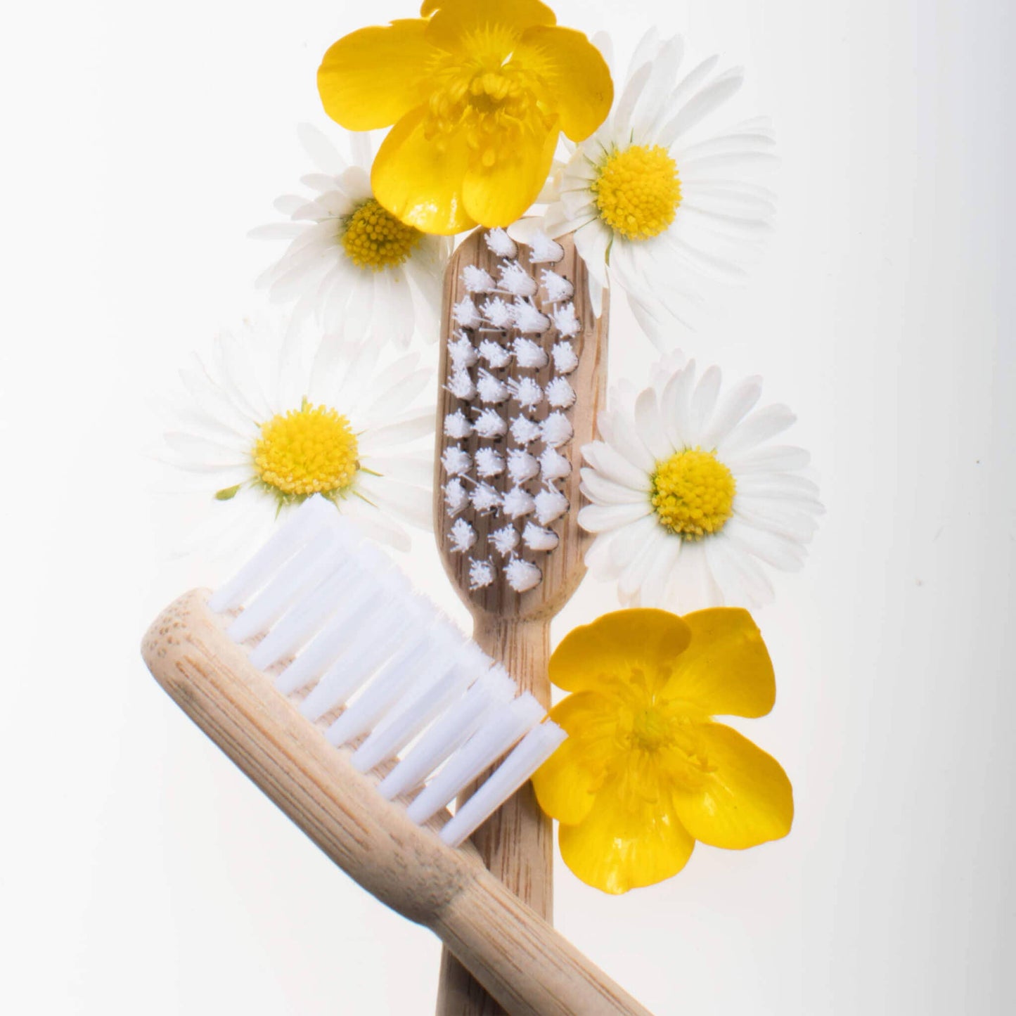 Adult Green - Bamboo Toothbrush: Soft