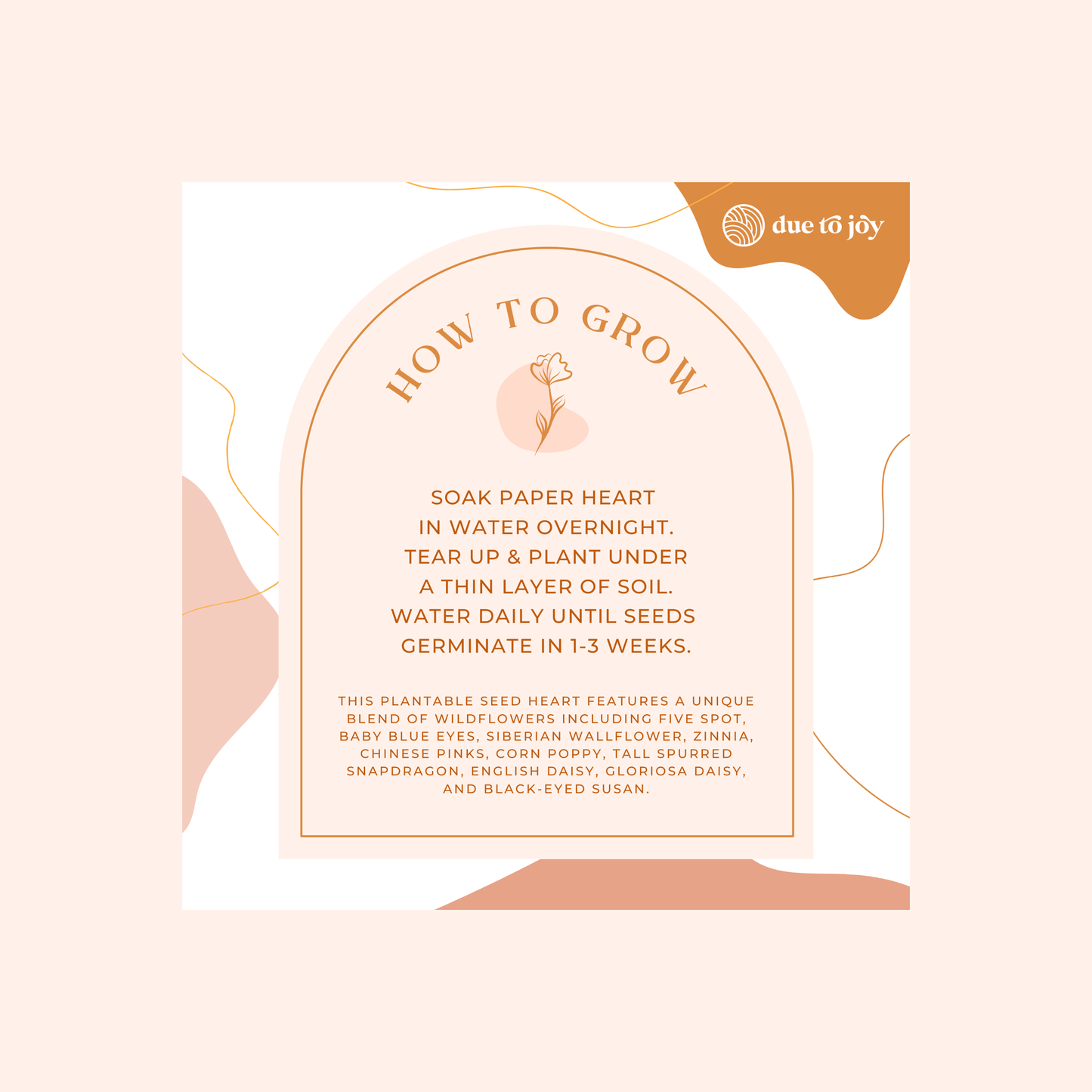 Seed Heart Paper Card