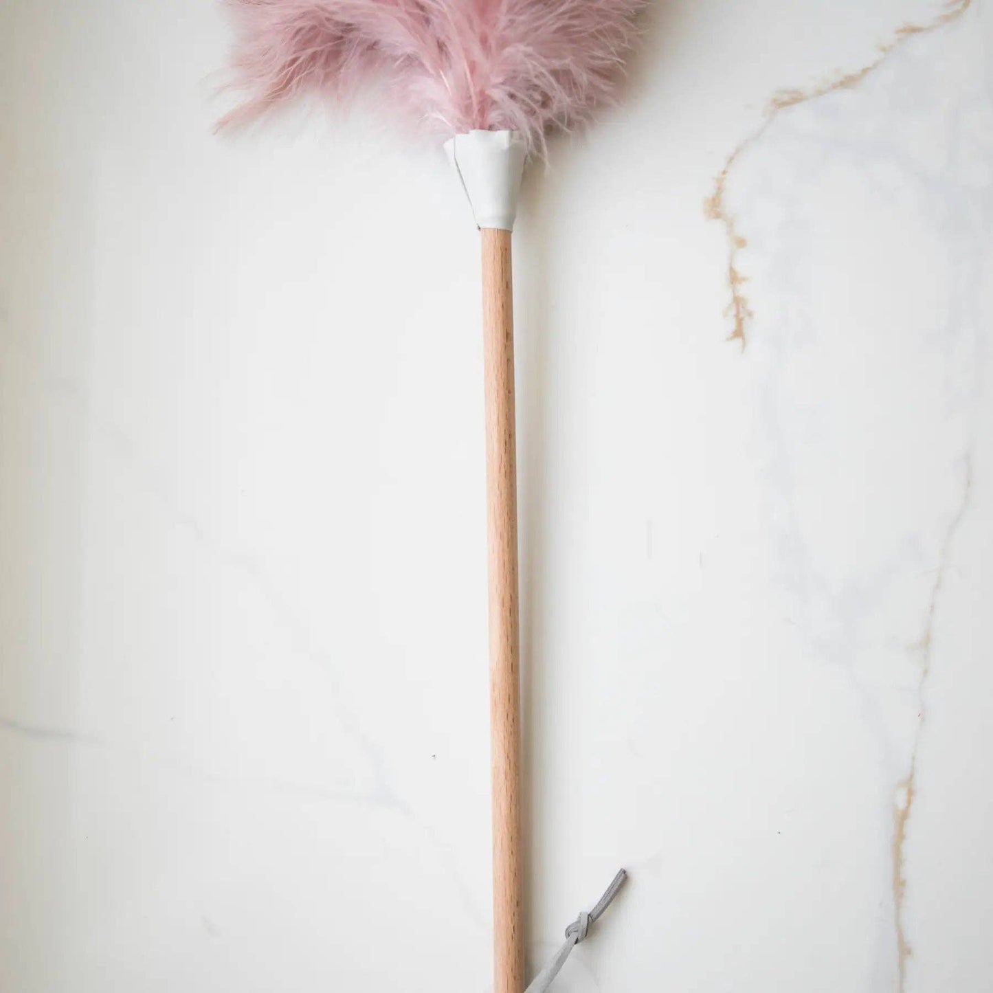 Pink Ostrich Feather Duster: S